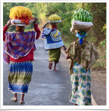 Tanzania - Banana Ladies